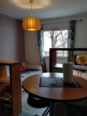 studio La doua au tamaris